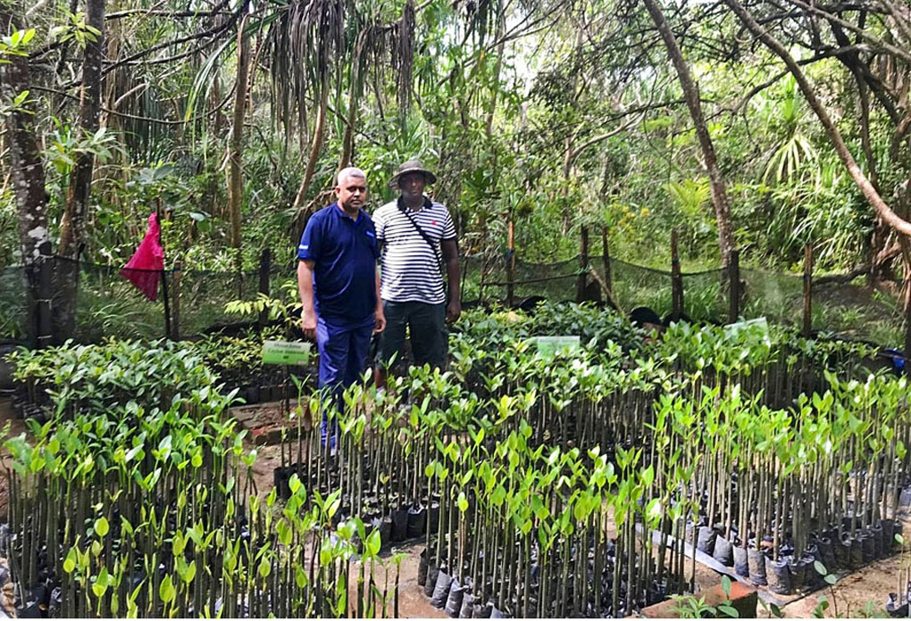 Koggala Mangrove Restoration and Conservation Project