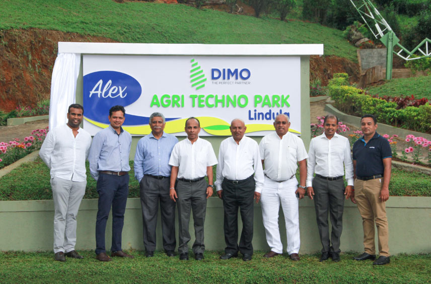 Dimo-Agribusiness.jpg