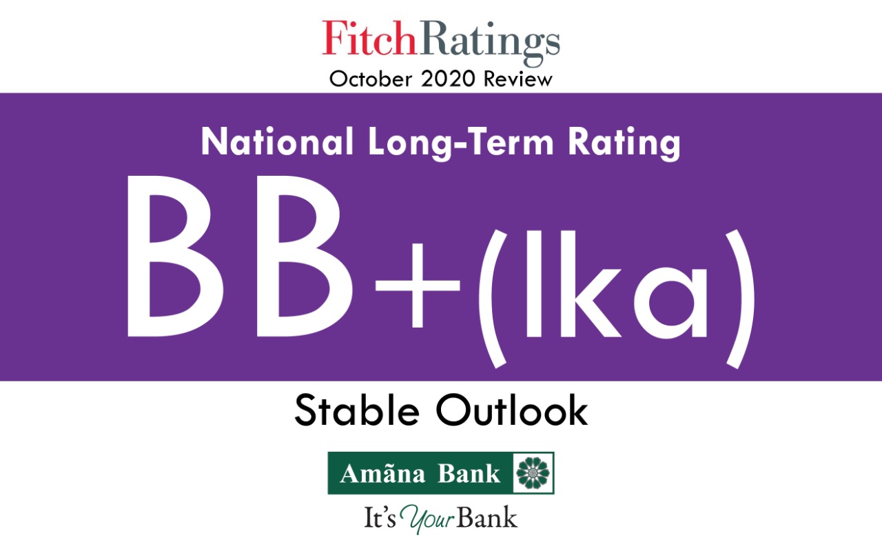 Fitch Rating (1)