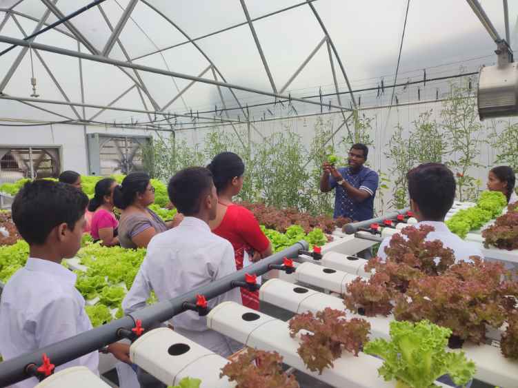 Greenhouse at Cinnamon Bentota Beach (LBN)