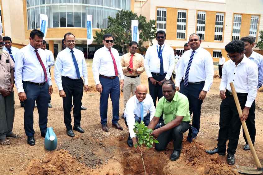 Tree planting in the north (LBN)