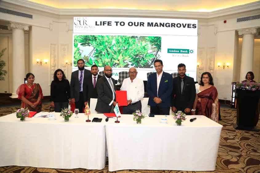 Amana Bank joins hands with Biodiversity Sri Lanka to restore Mangrove Ecosystems (LBN)