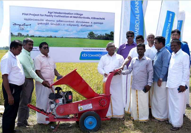 Harvest ceremony at Mahilankadu (LBN)