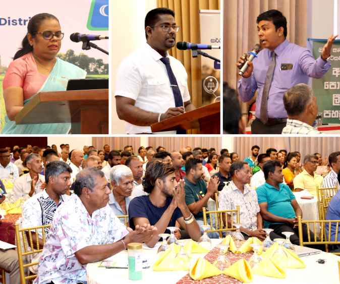 Paddy Yields programme - Polonnaruwa (LBN)