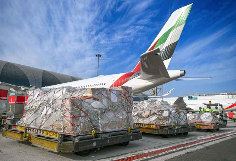 Emirates-and-Dubai-Humanitarian-LBN.jpg