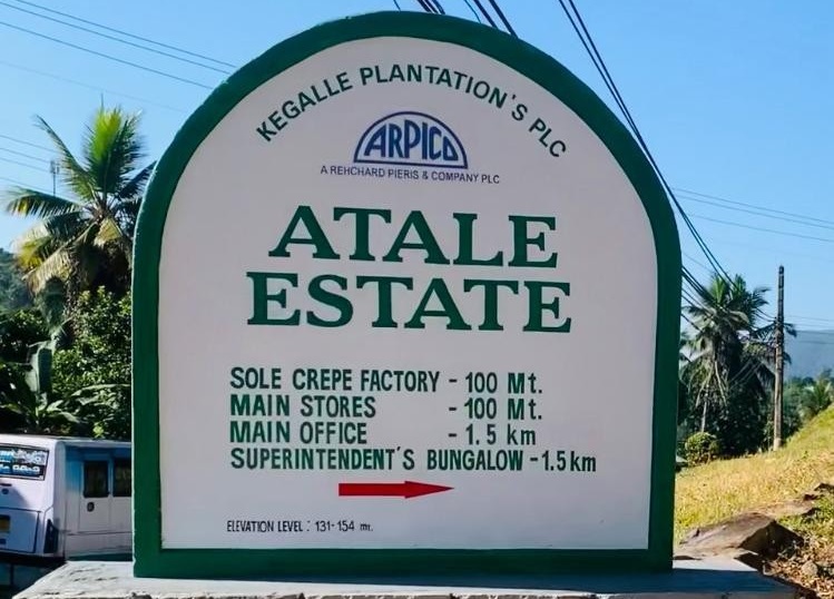 Atale estate