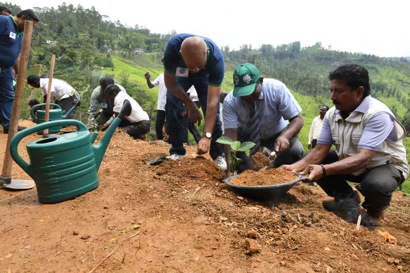 Preserving Flora and Fauna (3) (LBN)