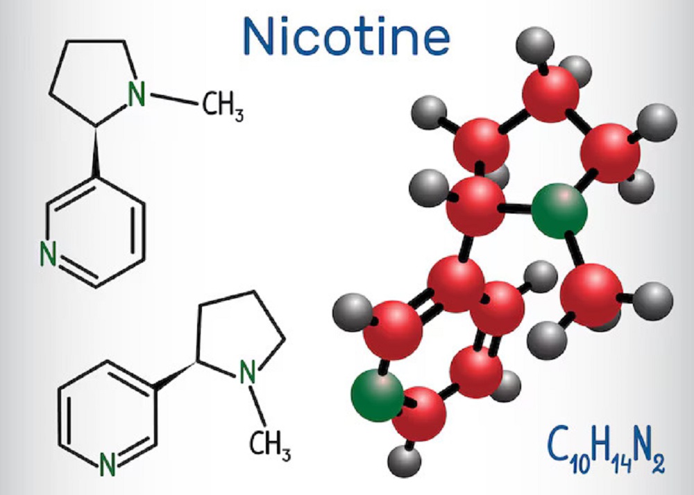 nicotine-molecule-is-alkaloid-structural-chemical-formula-molecule-model_979013-1003 (1)