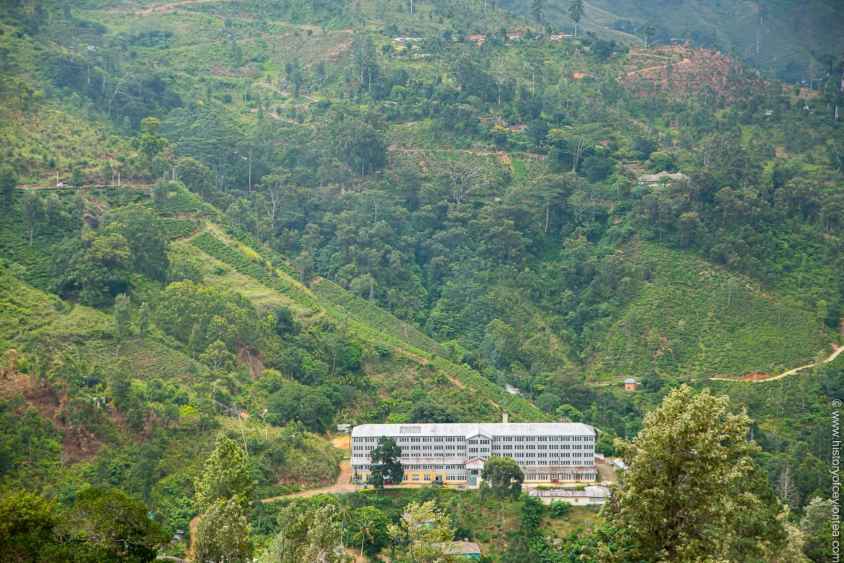 කැනවරෙල්ලා වතුයාය (LBN)