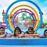 ඩේවිඩ් පීරිස් සමූහ ව්‍යාපාරය
