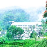 ස්ටෝනික්ලිෆ් වතුයාය