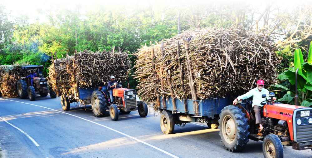 Transport to Factory (LBN)