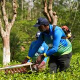 සේවක හිඟය